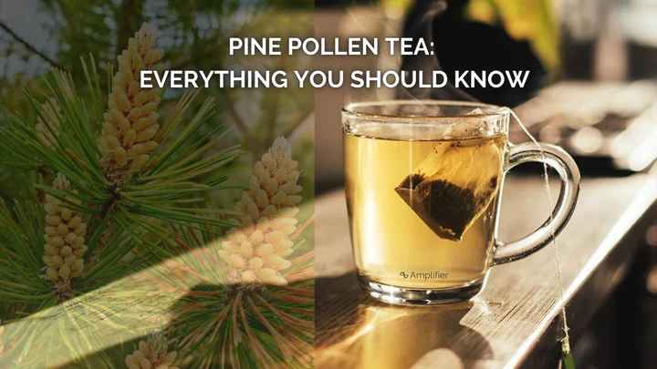 Pine Pollen Thee: alles wat je moet weten.