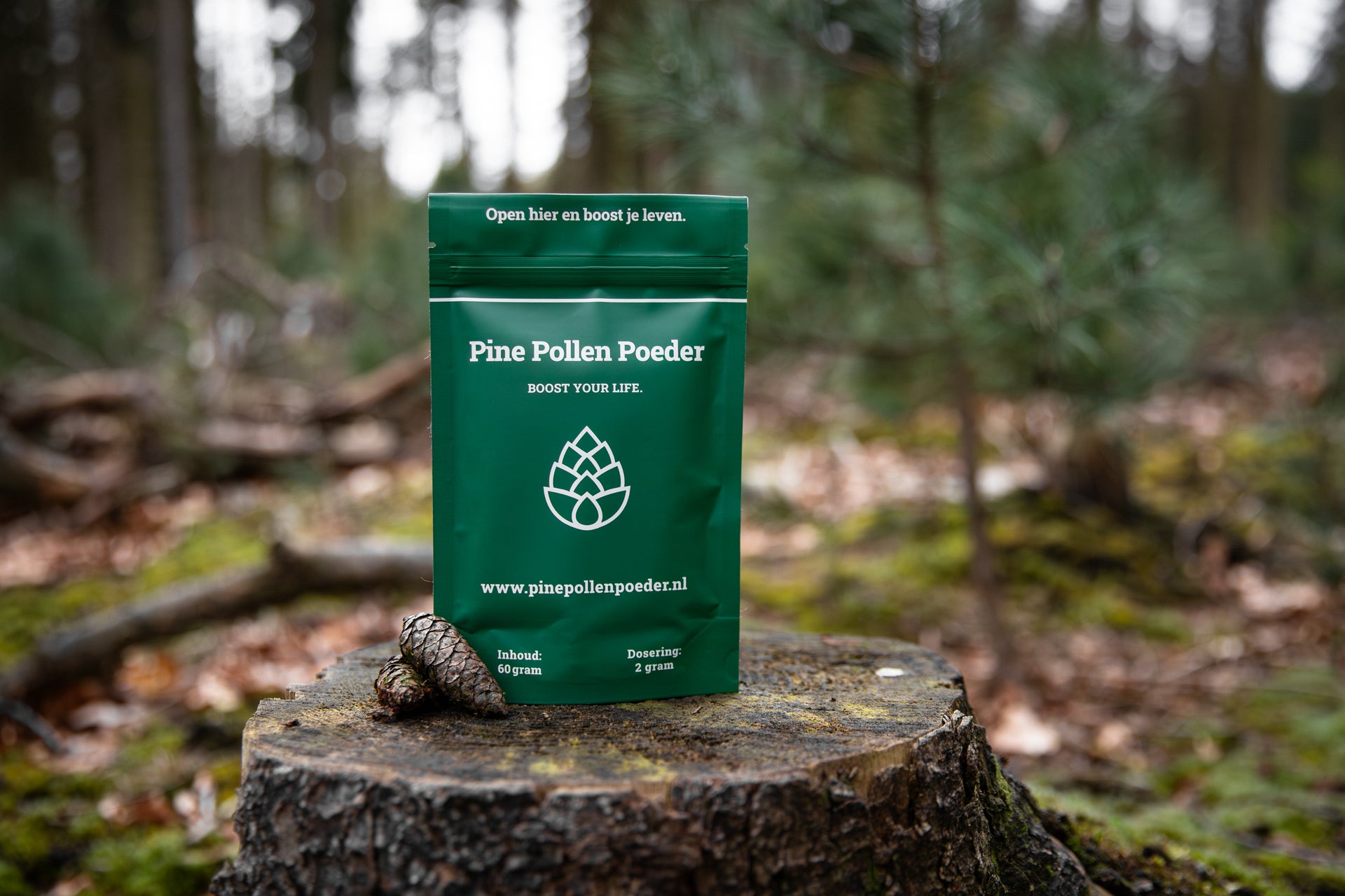 Pine pollen poeder